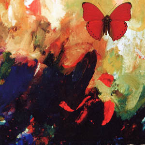 A photograph of a Sangaris Butterfly