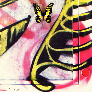 A photograph of a Green Spotted Swallowtail Butterfly