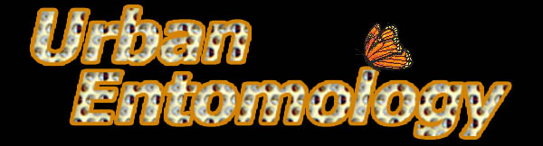 Ten